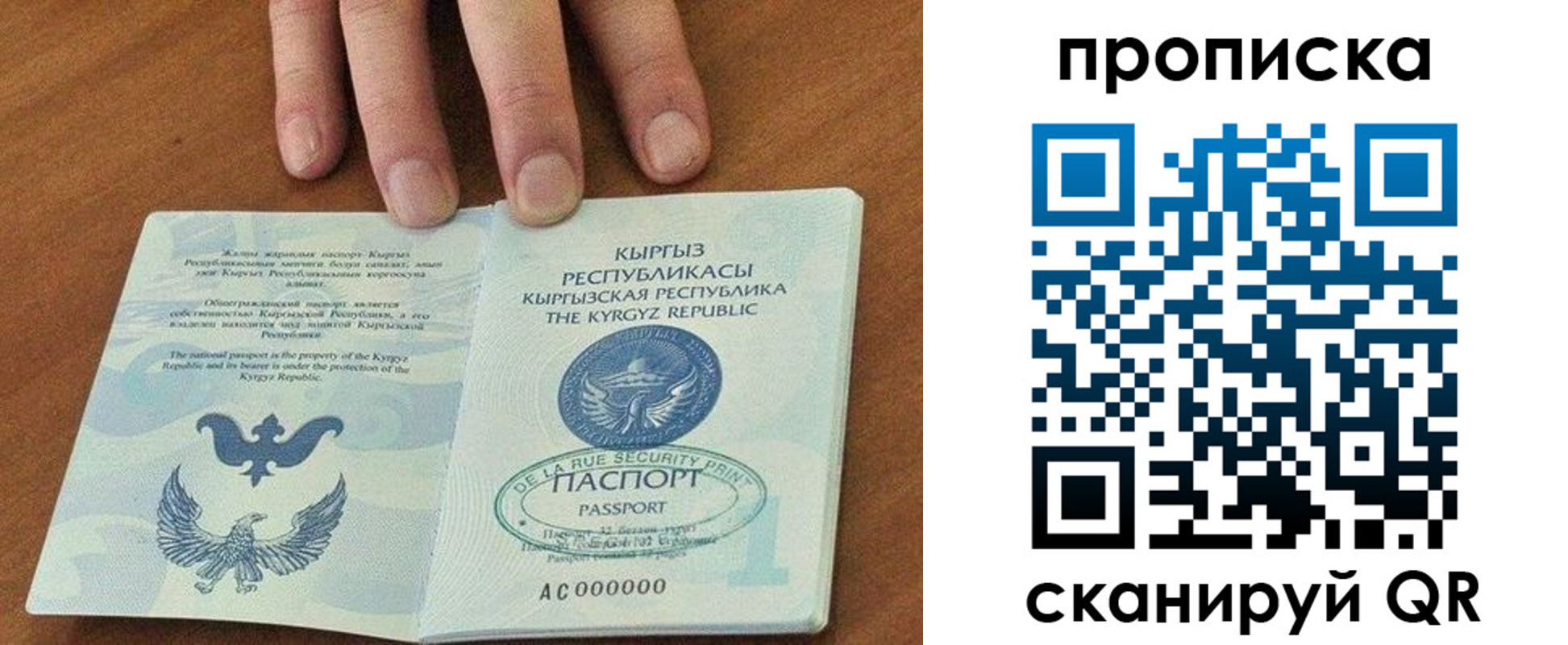 прописка гарантия в Карасуке